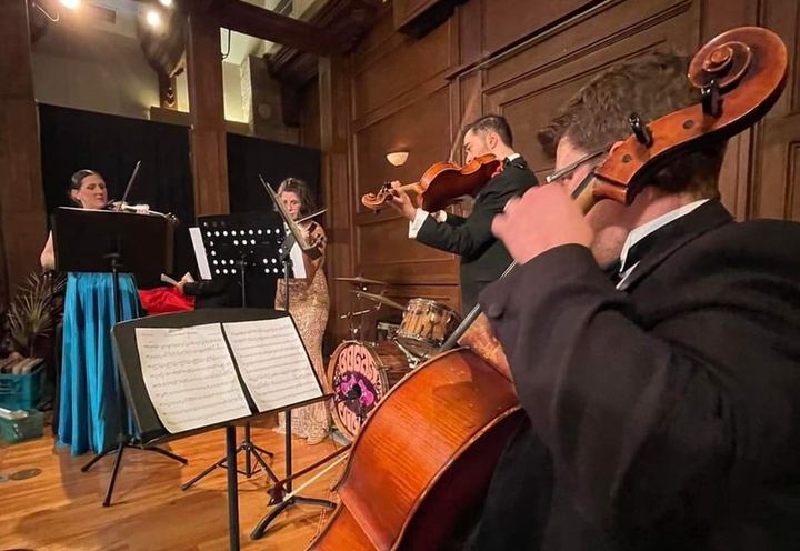 Siren Strings TX playing in a wood-paneled room